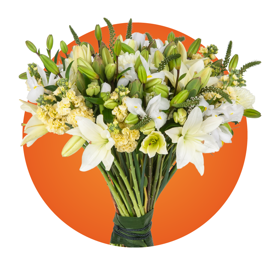 descripcion-tercera-plan-exequial