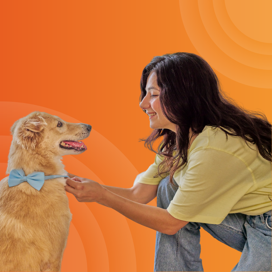 seccion-plan-asistencia-mascotas-descripcion