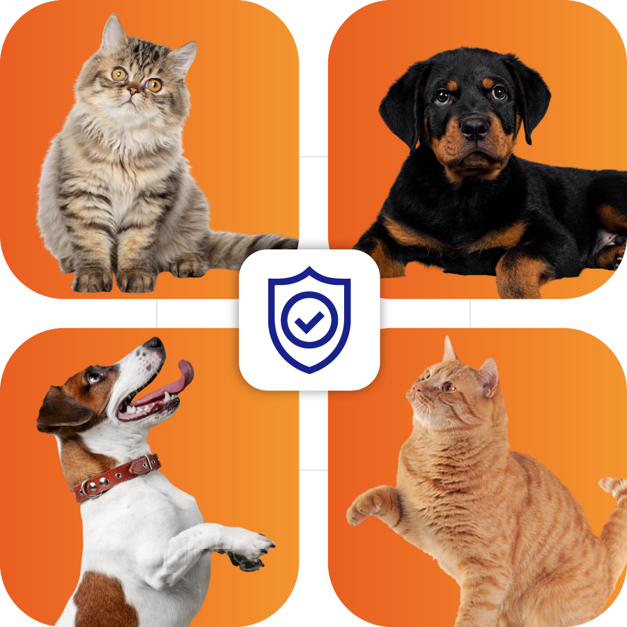 seccion-plan-asistencia-mascotas-documentos